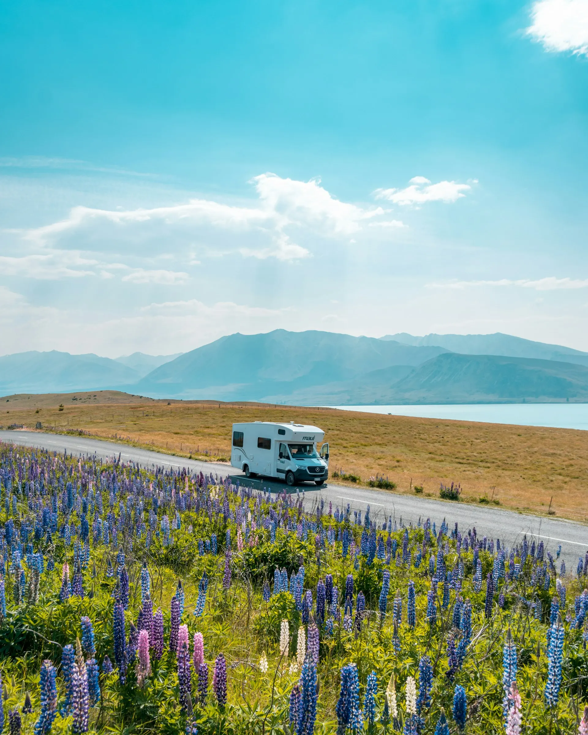 Campsite with a tent in the New Zealand outdoors